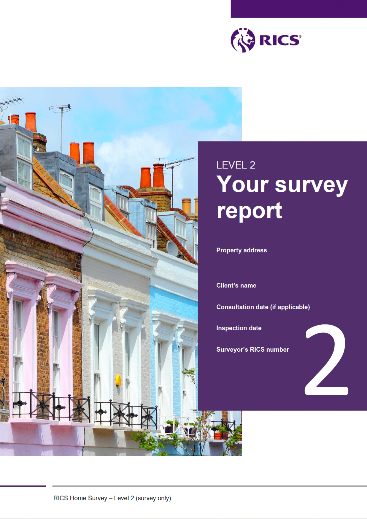 Licensed RICS Home Survey Level 2 template artwork