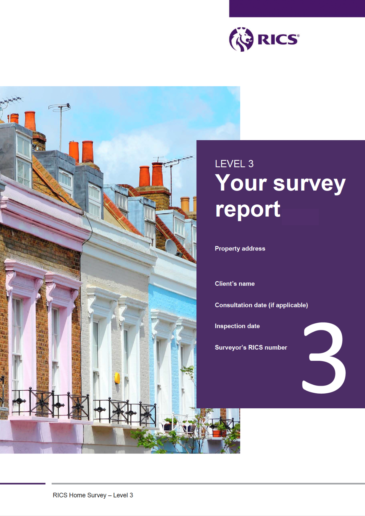 Licensed RICS Home Survey Level 3 template artwork
