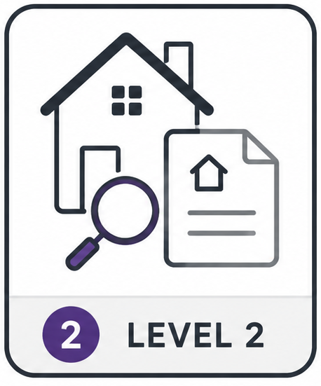 SurvSync RICS-aligned Level 2 template artwork